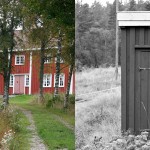 Gårdsliv og rørte blåbær