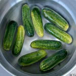 Pickle tickle